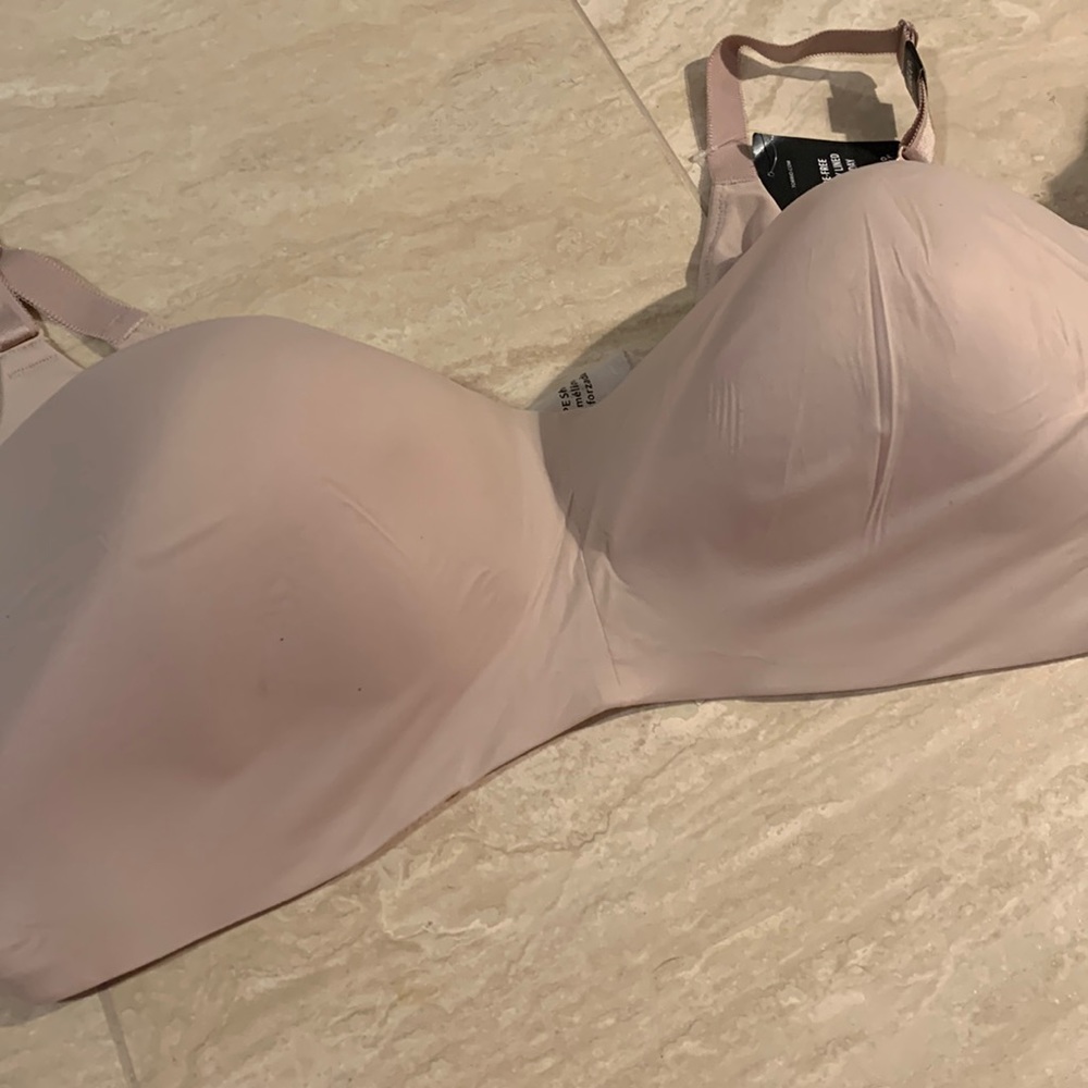 Torrid Bra